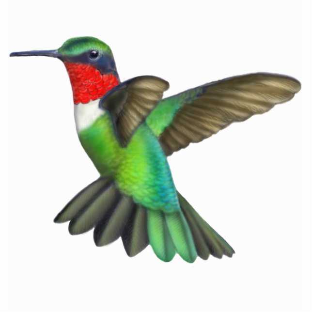 Ruby Throated Hummingbird Photo Sculpture Staand Fotobeeldje (Voorkant)