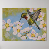 Ruby-Throated Hummingbird - Poster (Voorkant)