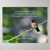Ruby-throated Hummingbird Poster (Voorkant)