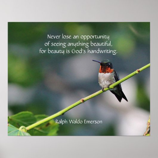 Ruby-throated Hummingbird Poster (Voorkant)