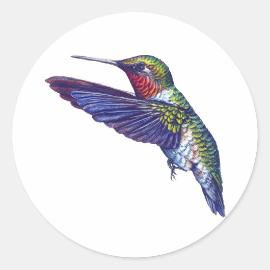 Ruby Throated Hummingbird Ronde Sticker (Voorkant)