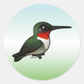 Ruby-throated Hummingbird Ronde Sticker (Voorkant)