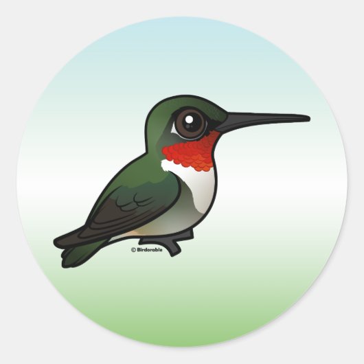 Ruby-throated Hummingbird Ronde Sticker (Voorkant)