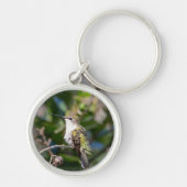 Ruby-Throated Hummingbird Sleutelhanger #4Q7A5301 (Voorkant)