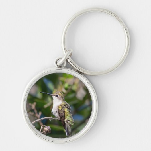 Ruby-Throated Hummingbird Sleutelhanger #4Q7A5301 (Voorkant)
