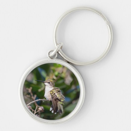 Ruby-Throated Hummingbird Sleutelhanger #4Q7A5304 (Voorkant)