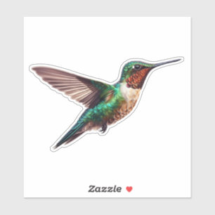 Ruby Throated Hummingbird Sticker