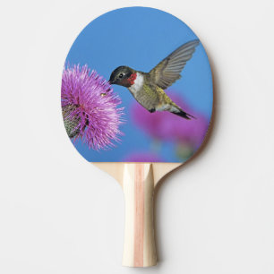 Ruby-throated Hummingbird Tafeltennisbatje