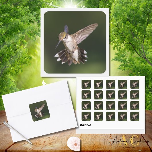 Ruby-Throated Hummingbird Vierkante Sticker