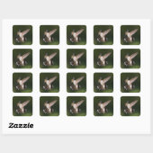 Ruby-Throated Hummingbird Vierkante Sticker (Vel)