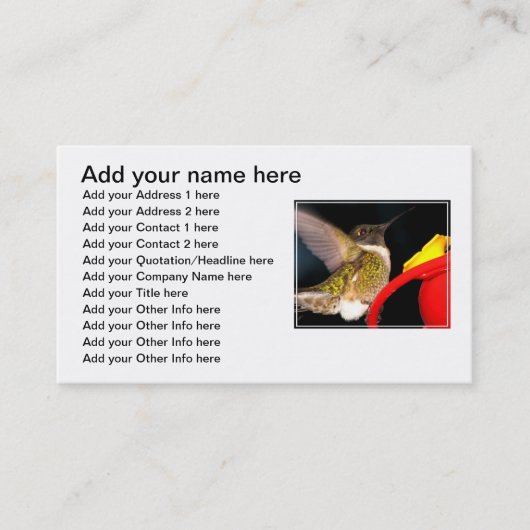 Ruby-Throated Hummingbird Visitekaartje (Voorkant)