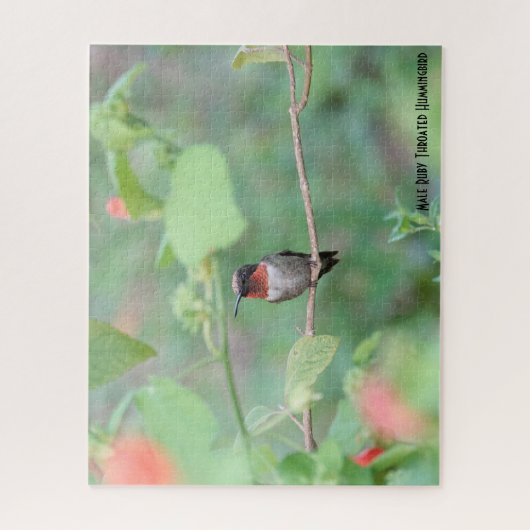 Ruby Throated Hummingbird, vogelliefhebber Legpuzzel (Verticaal)