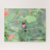 Ruby Throated Hummingbird, vogelliefhebber Legpuzzel (Horizontaal)