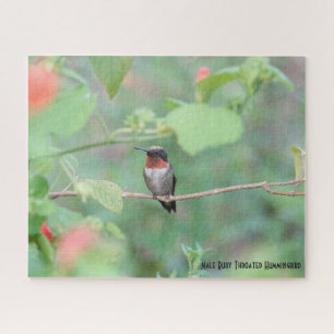 Ruby Throated Hummingbird, vogelliefhebber Legpuzzel