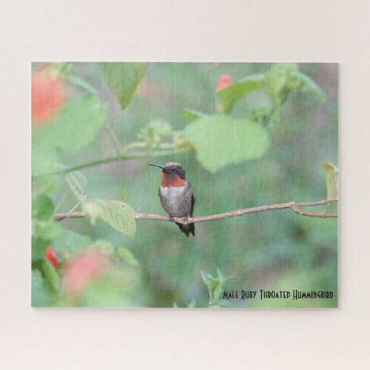 Ruby Throated Hummingbird, vogelliefhebber Legpuzzel (Horizontaal)