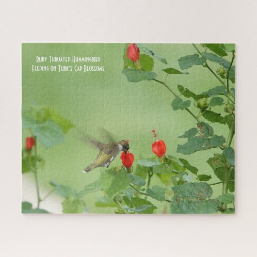 Ruby Throated Hummingbird, vogelliefhebber's Jigza Legpuzzel (Horizontaal)