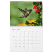 Ruby Throated Hummingbirds Kalender (Mar 2026)