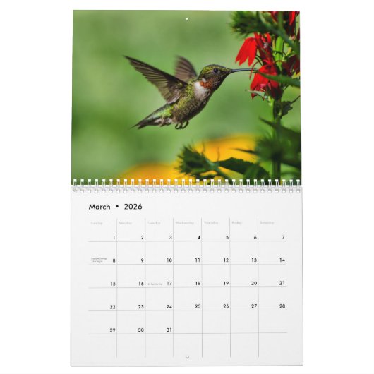 Ruby Throated Hummingbirds Kalender (Mar 2026)
