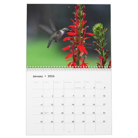 Ruby Throated Hummingbirds Kalender (Jan 2026)