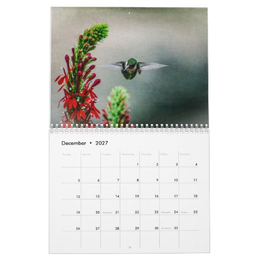 Ruby Throated Hummingbirds Kalender (Dec 2027)