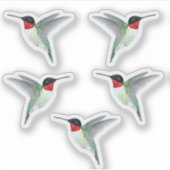 Ruby-throated Hummingbirds Sticker (Voorkant)