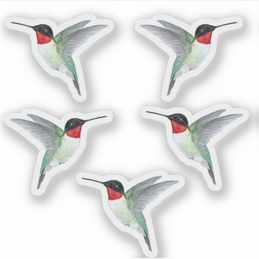Ruby-throated Hummingbirds Sticker (Voorkant)