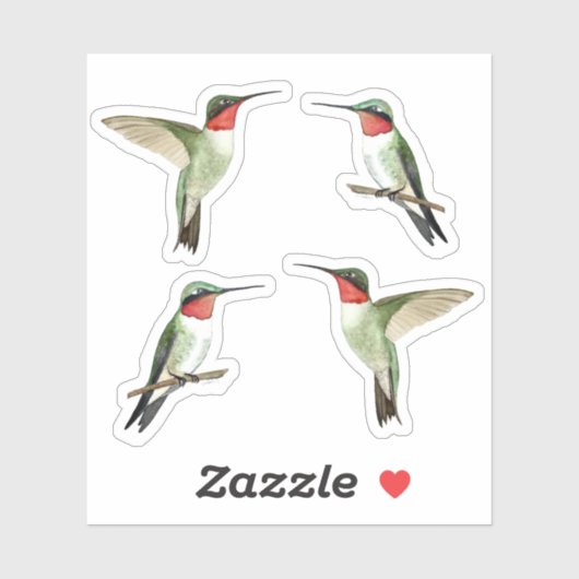 Ruby-throated Hummingbirds Sticker (Vel)