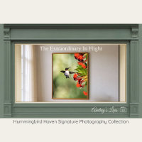 Ruby-Throated Kolibrie Fijn-Kunst Fotografie 