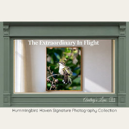 Ruby-Throated Kolibrie Fine Art Fotografie Poster
