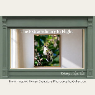 Ruby-Throated Kolibrie Fine Art Fotografie Poster