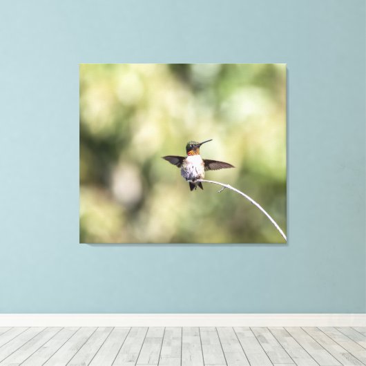 Ruby-Throated Kolibrie Ontwerp #4Q7A0015 Canvas Afdruk (Insitu (Houten vloer))