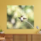 Ruby-Throated Kolibrie Ontwerp #4Q7A0015 Canvas Afdruk (Insitu (Woonkamer))