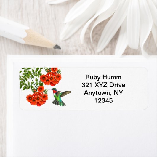  Ruby Throated kolibrie op trompet Etiket (Insitu)