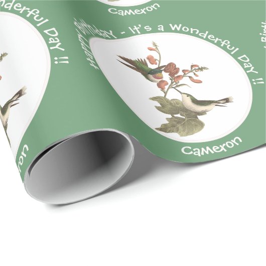 Ruby-throated kolibrie, verjaardag of andere parti cadeaupapier (Rol Hoek)