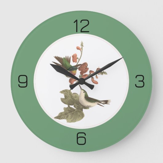 Ruby-throated kolibrie, verjaardag of andere parti grote klok (Voorkant)