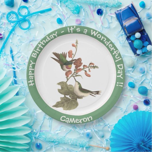 Ruby-throated kolibrie, verjaardag of andere parti papieren bordje (Feest)