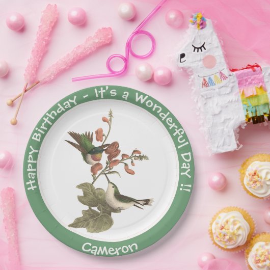 Ruby-throated kolibrie, verjaardag of andere parti papieren bordje (Feest)