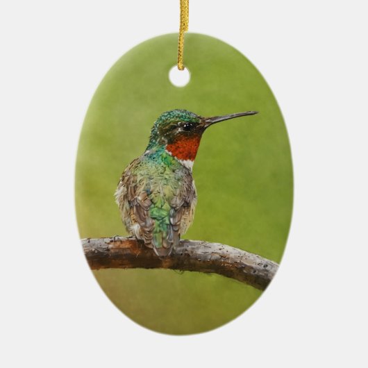 Ruby Throated Kolibrie Vogelschildersjaar Keramisch Ornament (Voorkant)