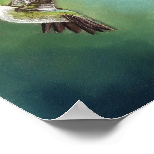 Ruby Throing Humming Bird Art Print (Hoek)