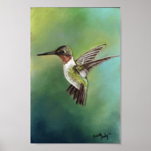 Ruby Throing Humming Bird Art Print