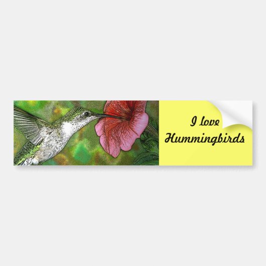 Ruby thromingbird bumpersticker (Voorkant)