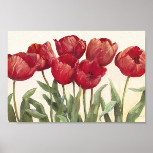 Ruby Tulips Poster (Voorkant)