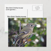 Ruby-vol Kinglet Briefkaart (Voorkant / Achterkant)