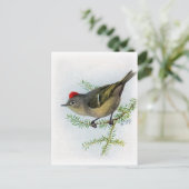 Ruby-vol Kinglet Briefkaart (Staand voorkant)