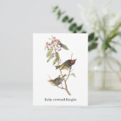 Ruby-vol Kinglet, John Audubon Briefkaart (Staand voorkant)