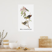 Ruby-vol Kinglet, John Audubon Poster (Keuken)