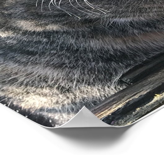 Ruby's Mamma, Mrs Ribby Poster (Hoek)