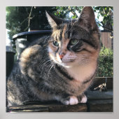 Ruby's Mamma, Mrs Ribby Poster (Voorkant)