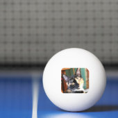 Ruby's Ping Pong Pingpongbal (Net)