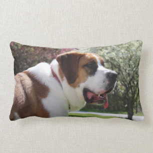 Ruby's Springtime Pillow Kussen